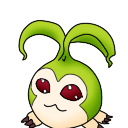 shimeji