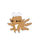 shimeji
