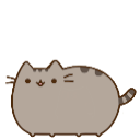 shimeji