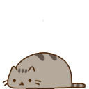 shimeji